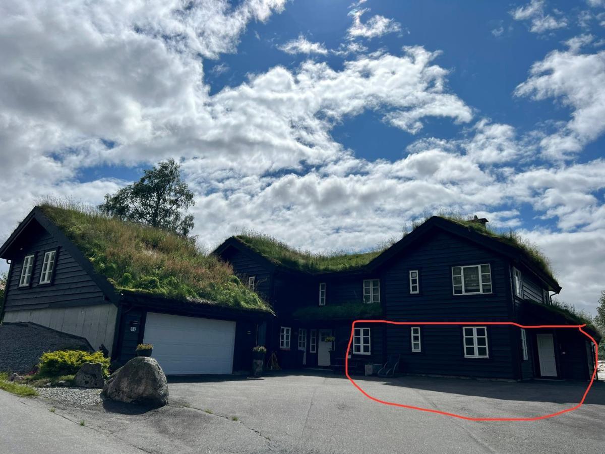 Flott Leilighet Pa Haugen I Sirdal Tjorhom Экстерьер фото