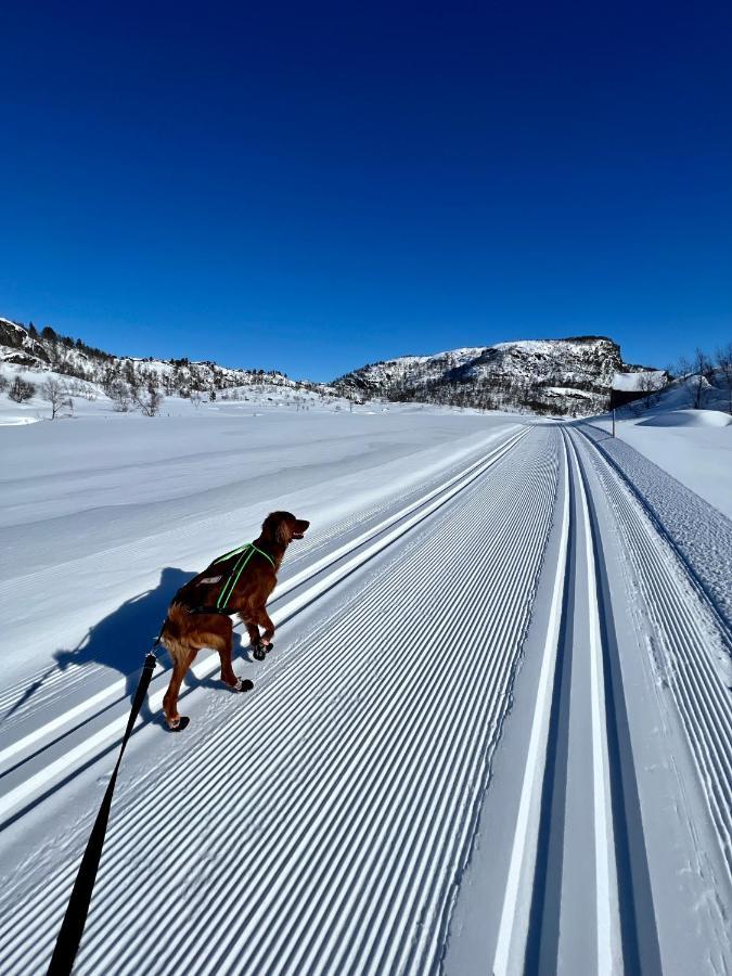 Flott Leilighet Pa Haugen I Sirdal Tjorhom Экстерьер фото