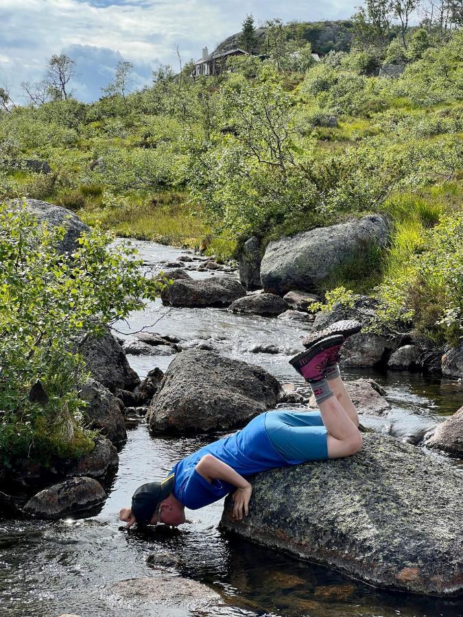 Flott Leilighet Pa Haugen I Sirdal Tjorhom Экстерьер фото